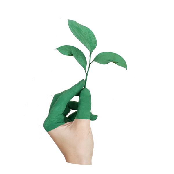 hand and plant in cricle